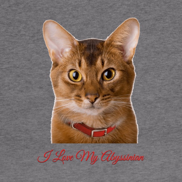 Abyssinian Cat T Shirt by Pam069